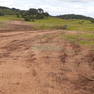 Chácara com 20000m², no bairro Criuva em Caxias do Sul para Comprar