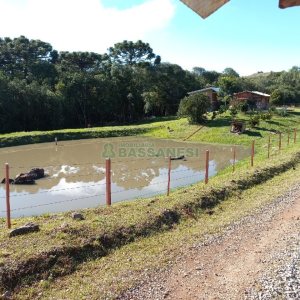 Chácara com 20000m², no bairro Criuva em Caxias do Sul para Comprar