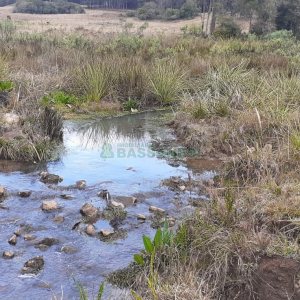Chácara com 20000m², no bairro Criuva em Caxias do Sul para Comprar