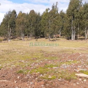 Chácara com 20000m², no bairro Criuva em Caxias do Sul para Comprar