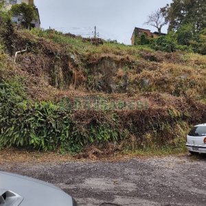 Terreno, no bairro São Leopoldo em Caxias do Sul para Comprar