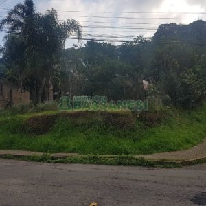 Terreno, no bairro Salgado Filho em Caxias do Sul para Comprar