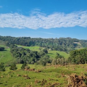 Chácara com 200m², no bairro Parada Cristal em Caxias do Sul para Comprar