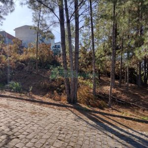 Terreno, no bairro Desvio Rizzo em Caxias do Sul para Comprar