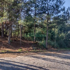 Terreno, no bairro Desvio Rizzo em Caxias do Sul para Comprar