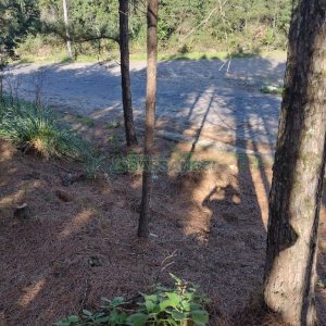 Terreno, no bairro Desvio Rizzo em Caxias do Sul para Comprar