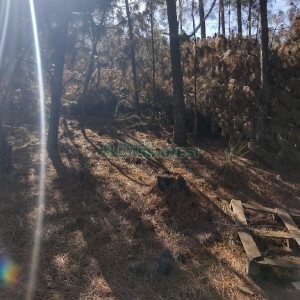 Terreno, no bairro Desvio Rizzo em Caxias do Sul para Comprar