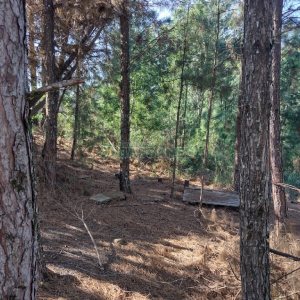 Terreno, no bairro Desvio Rizzo em Caxias do Sul para Comprar