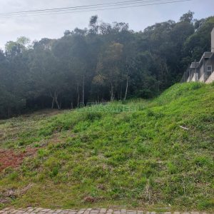 Terreno, no bairro São Luiz em Caxias do Sul para Comprar