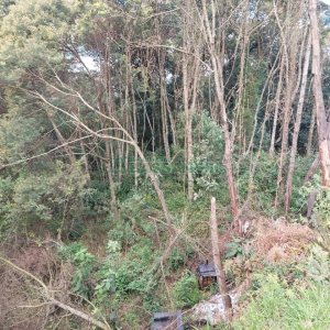 Terreno, no bairro São Cristóvão em Caxias do Sul para Comprar