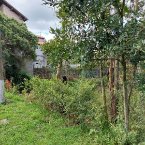 Terreno, no bairro São Cristóvão em Caxias do Sul para Comprar