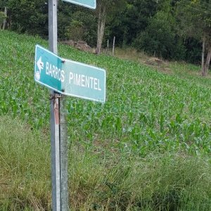 Chácara, 2 dormitórios, 1 vaga, no bairro Galópolis em Caxias do Sul para Comprar