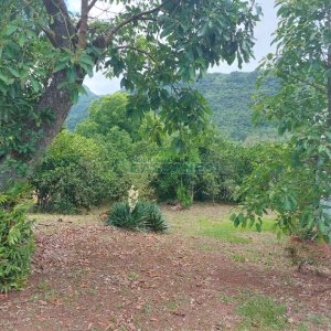 Chácara, 2 dormitórios, 1 vaga, no bairro Galópolis em Caxias do Sul para Comprar