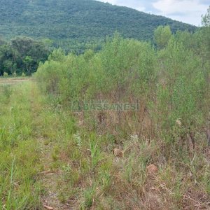 Chácara, 2 dormitórios, 1 vaga, no bairro Galópolis em Caxias do Sul para Comprar