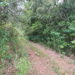 Chácara, 2 dormitórios, 1 vaga, no bairro Galópolis em Caxias do Sul para Comprar