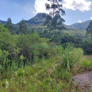 Chácara, 2 dormitórios, 1 vaga, no bairro Galópolis em Caxias do Sul para Comprar