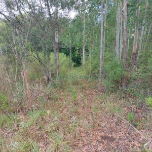 Chácara, 2 dormitórios, 1 vaga, no bairro Galópolis em Caxias do Sul para Comprar