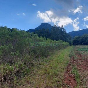 Chácara, 2 dormitórios, 1 vaga, no bairro Galópolis em Caxias do Sul para Comprar