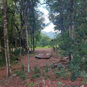 Chácara, 2 dormitórios, 1 vaga, no bairro Galópolis em Caxias do Sul para Comprar