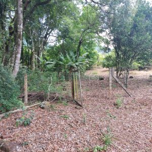 Chácara, 2 dormitórios, 1 vaga, no bairro Galópolis em Caxias do Sul para Comprar