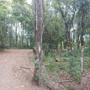 Chácara, 2 dormitórios, 1 vaga, no bairro Galópolis em Caxias do Sul para Comprar