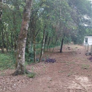 Chácara, 2 dormitórios, 1 vaga, no bairro Galópolis em Caxias do Sul para Comprar