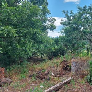 Chácara, 2 dormitórios, 1 vaga, no bairro Galópolis em Caxias do Sul para Comprar