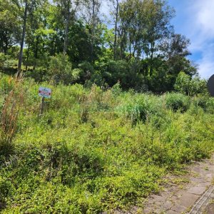 Terreno, no bairro São Victor COHAB em Caxias do Sul para Comprar
