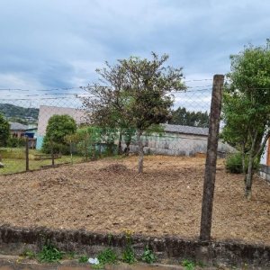 Terreno com 360m², no bairro São Ciro em Caxias do Sul para Alugar