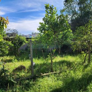 Casa, no bairro Santa Catarina em Caxias do Sul para Comprar