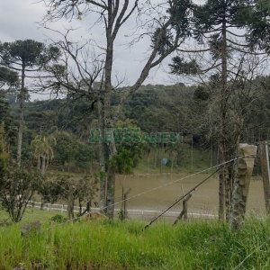 Chácara, no bairro Centro em Caxias do Sul para Comprar