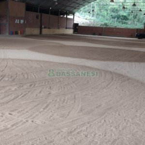 Chácara, no bairro Centro em Caxias do Sul para Comprar