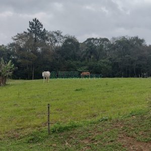 Chácara, no bairro Centro em Caxias do Sul para Comprar