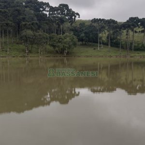 Chácara, no bairro Centro em Caxias do Sul para Comprar