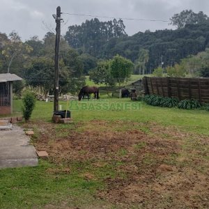 Chácara, no bairro Centro em Caxias do Sul para Comprar