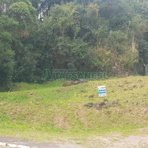 Terreno, no bairro Nossa Senhora de Fátima em Caxias do Sul para Comprar