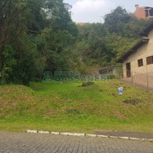 Terreno, no bairro Nossa Senhora de Fátima em Caxias do Sul para Comprar