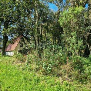 Chácara com 80m², no bairro Forqueta em Caxias do Sul para Comprar