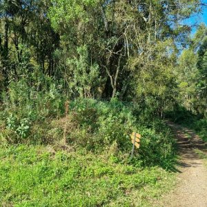 Chácara com 80m², no bairro Forqueta em Caxias do Sul para Comprar