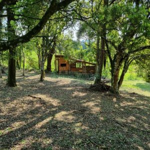 Chácara com 80m², no bairro Forqueta em Caxias do Sul para Comprar