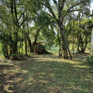 Chácara com 80m², no bairro Forqueta em Caxias do Sul para Comprar