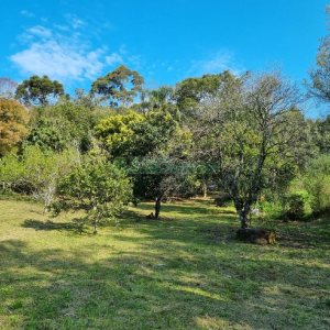 Chácara com 80m², no bairro Forqueta em Caxias do Sul para Comprar