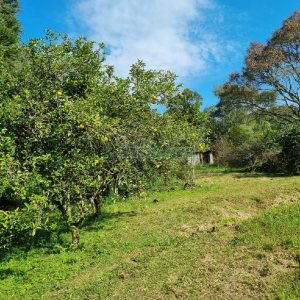 Chácara com 80m², no bairro Forqueta em Caxias do Sul para Comprar