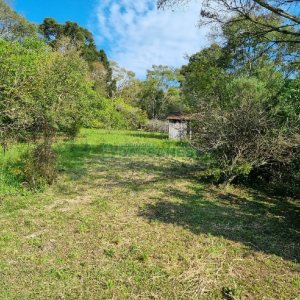 Chácara com 80m², no bairro Forqueta em Caxias do Sul para Comprar