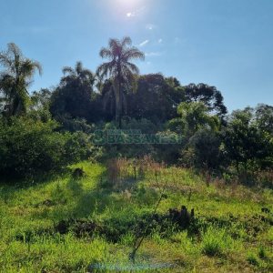 Chácara com 80m², no bairro Forqueta em Caxias do Sul para Comprar