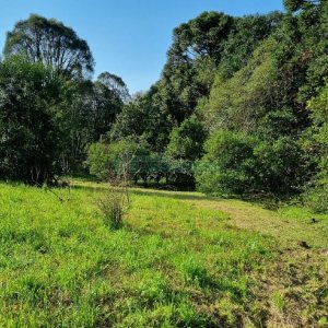 Chácara com 80m², no bairro Forqueta em Caxias do Sul para Comprar