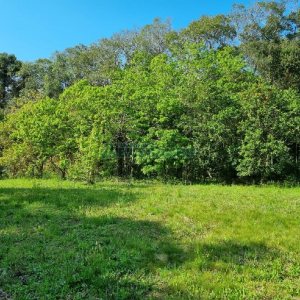 Chácara com 80m², no bairro Forqueta em Caxias do Sul para Comprar