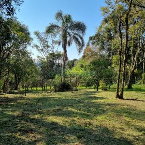 Chácara com 80m², no bairro Forqueta em Caxias do Sul para Comprar