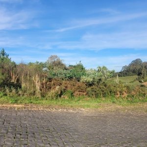 Terreno, no bairro São Luiz em Caxias do Sul para Comprar