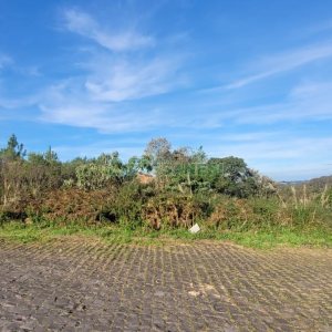 Terreno, no bairro São Luiz em Caxias do Sul para Comprar